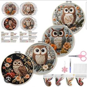 lot 19609 image: Cute Owl Embroidery Kit for Beginners Modern, intricate FloralFloral Art Kit with Hoop, DIY Starter Craft Kit for Adults - Retail $0