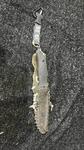 lot 68 image: Gerber Fixed Blade Knife with Lanyard and Sheath
