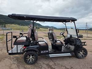 lot 6982 image: New Six Person Luxury Electric Golf Cart SDLGC100 (Assembly Required)