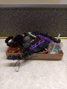 lot 1447 image: Shasta Halloween Decoration Lot Black Cat Skull Bat Skeleton