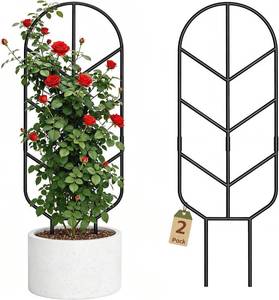 lot 31161 image: 2 Pack 30 Metal Plant Trellis for Climbing Plants, IndoorOutdoor