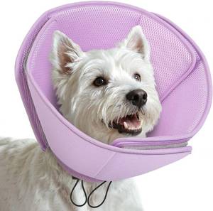 lot 31438 image: AOFITEE Soft Dog Cone Collar Adjustable Cone for Dogs to Stop Licking