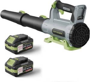 lot 6019 image: Cordless Leaf Blower with 2  5.0Ah Batteries & Charger, 21V, Lightweight  char