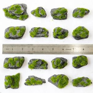 lot 2101 image: Miniature Moss Stones for Terrarium - Tree Bark Diorama Rocks for Miniature Terrain Display - Lightweight Reptile Habitat Decor - NOT for Aquarium Underwater Use - 12 Pcs Flocking-Covered (1-2 inch)