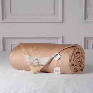 lot 17051 image: Cuddle Dreams Tencel Silk Comforter King Bronze  Retail $199.90