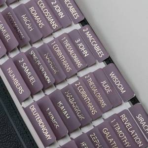 lot 14198 image: UPAFEXXI Bible Tabs with Book Summaries, 3D Gold Foil