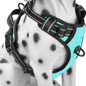 lot 14221 image: PoyPet No Pull Dog Harness Medium Reflective