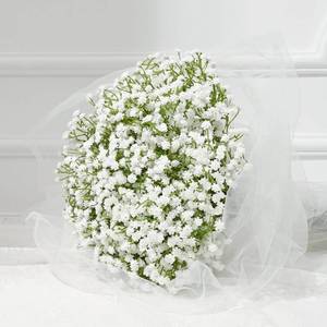 lot 2384 image: Dolicer 5 Pcs Babys Breath Artificial Flowers White Fake Babys Breath