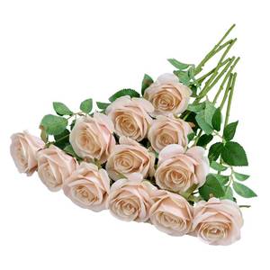lot 12277 image: Helera Artificial Silk Roses 12-Piece Set Blush Pink