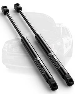 lot 12343 image: IAQWE Hood Struts for Ford Taurus 2010-2019