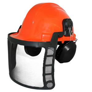 lot 13140 image: Forester Safety Helmet with Face Shield and Ear Muffs