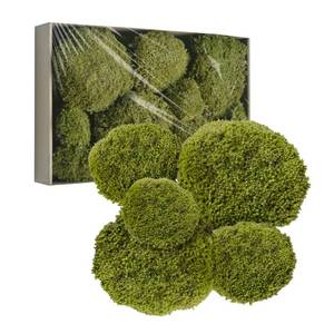 lot 17092 image: TurelinnG Preserved Moss Decor �� Yellow Green 2 Sq.Ft