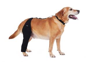 lot 20256 image: Dog Recovery Sleeve Back Leg Breathable Material,Dog Leg Sleeve to Stop Licking and Biting Firm and Secure, Adjustable Size, Comfortable Alternative to Cone Collars (Extra Small, Single Leg)
