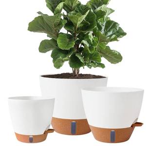 lot 20481 image: Fielda 12 Inch Self Watering Pots for IndoorOutdoor Plants (Large Only)