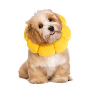 lot 8125 image: HOMBYS Soft Dog Cone Collar, Size Small