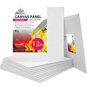 lot 8355 image: Phoenix Canvas Panels 6x6 Inch 12-Pack