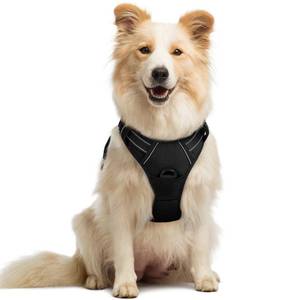 lot 8359 image: Rabbitgoo Dog Harness No Pull Medium with 2 Leash Clips