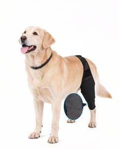 lot 8448 image: Zkacsue Dog Rear Leg Sleeve, Large