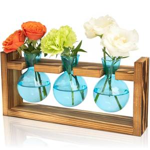 lot 11295 image: XXXFLOWER Plant Propagation Station with 3 Glass Bulb Vases