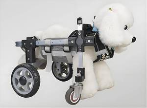 lot 13248 image: QCYHDF Dog Wheelchair Adjustable 4-Wheel Mobility Aid Small