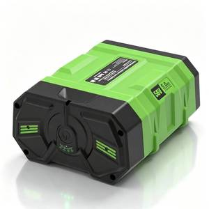 lot 13336 image: AaveYouMore 56V 5.0Ah Lithium Battery BA1400