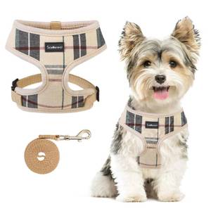 lot 14029 image: SCENEREAL Puppy Harness and Leash Set, Small