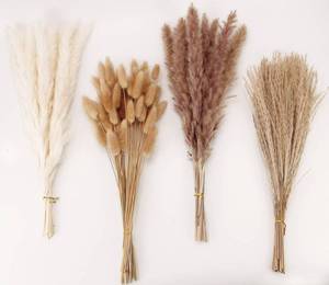 lot 1177 image: Dried Pampas Grass Decor, 100 Stems Pampas Grass Contains Bunny Tails Dried Flowers, Reed Grass Bouquet for Wedding Boho Flowers Home Table Decor, Rustic Farmhouse Party (17, White and Brown)