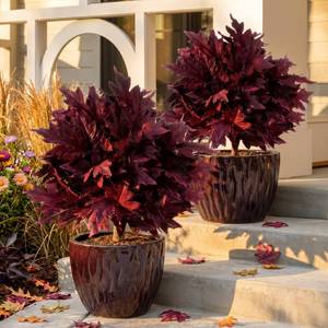 lot 1183 image: Dingion 2 Set 25 Artificial Fall Maple Topiary Trees, Outdoor Plum Purple Autumn Faux Plants for Front Porch Decor UV Resistant Fake Maple Ball Trees for Harvest Halloween Entryway Door Outside Decor