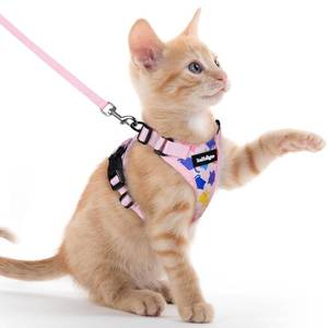 lot 6062 image: Rabbitgoo Cat Harness and Leash Set, Escape Proof Vest, Pink