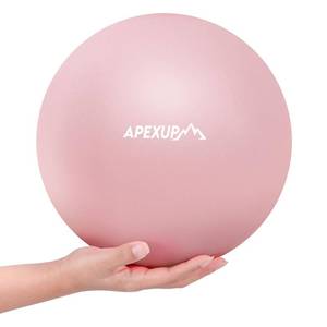 lot 10170 image: APEXUP 9 Inch Pilates Ball Small Exercise Ball for Yoga, Fitness, Balance, Core Workout, Physical Therapy (XXS (9) 23cm, Soft Pink)