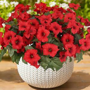 lot 13386 image: SIECCY Artificial Petunia Flowers UV Resistant 6 Bundles Red