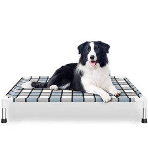 lot 7679 image: Caghash Elevated Outdoor Raised Dog Bed, Lifted Dog Cot for Medium Pet