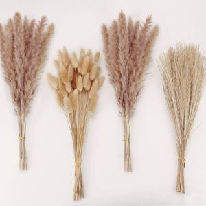 lot 8291 image: Natural Dried Pampas Grass Decor, Brown Pampas Grass�� Bunny Tails Dried Flowers, Reed Grass Bouquet for Wedding Boho Flowers Home Table Decor, Fall Decor��Rustic Farmhouse Party (100 in Total )