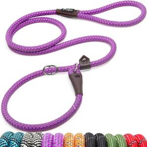 lot 10266 image: Fida Durable Slip Lead Dog Leash, 6 FT x 12 Dog Training Leash, Purple