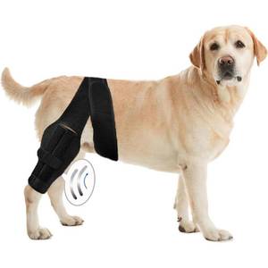 lot 12094 image: Tinzum Dog Knee Brace for Hind Leg Support