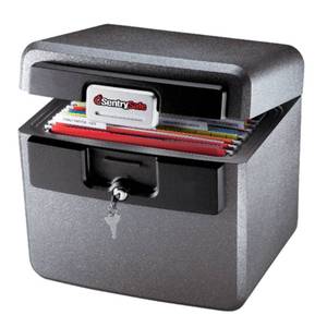 lot 19493 image: SentrySafe HD4100 Fire & Water Resistant File Document Safe with Key Lock  0.65 cu ft  Charcoal Gray