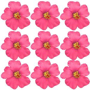 lot 20101 image: Arvintas 20 PCS Light Pink Hawaiian Faux Flowers Hibiscus Flowers Hawaii Party Summer Party DIY Foam Hibiscus Flower for Tabletop Decoration Favors Supplies (No Clip)