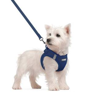 lot 2111 image: rabbitgoo Dog Harness Small Sized and Leash Set, Step-in Puppy Pet Vest
