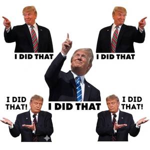 lot 10289 image: 100Pcs Trump i Did that Stickers, Funny I Did that Stickers, Mixed 5 Different Patterns, 3 Large Size for Decorating Your Personal Belongings