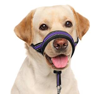 lot 12140 image: BARKLESS Soft Dog Head Collar Size L No Pull