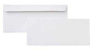 lot 13480 image: Amazon Basics #10 Security-Tinted Self-Seal Envelopes 500-Pack