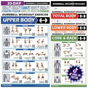 lot 17265 image: POCAZONE Dumbbell Workout Posters 6-Pack