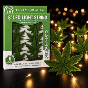 lot 2249 image: Brightz Felty LED String Lights, 8ft