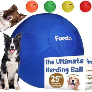 lot 7757 image: Furdo 25 Inch Herding Ball for Dogs - Blue