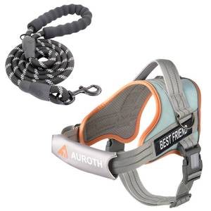 lot 13632 image: AUROTH No-Pull Dog Harness and Leash Set Medium