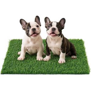 lot 13672 image: Pick For Life Artificial Grass Dog Pee Pad