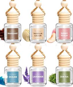 lot 18205 image: AROIC 6-Pack Car Air Freshener Hanging Diffuser Set