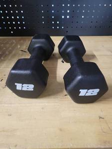 lot 19722 image: Pair of 12 lb Dumbbells