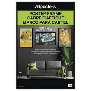 lot 19724 image: Trends International Poster Frame  Black  for 22.375  x 34  Posters and Wall Art in Your Room