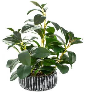 lot 19760 image: AlphaAcc Fake Plants Potted Artificial Succulents Home Office Decor